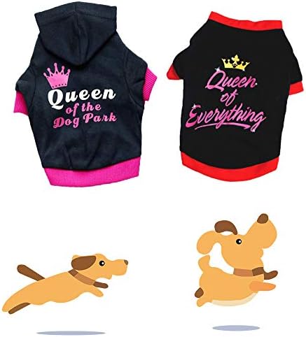 DERUİLA 2 paketi Köpek Prenses Giysileri Köpek Hoodie Küçük Köpekler için Kız Köpek Giysileri Kazak ve Gömlek