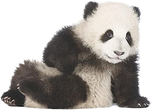 Süper Sevimli Gerçekçi Panda Duvar Çıkartmaları Hayvan duvar çıkartmaları Yatak Odası Oturma Odası TV Duvar Kapı Dekor Duvar