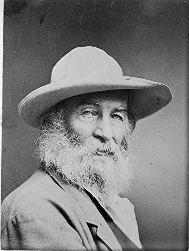 Walt Whitman'ın Fotoğrafı - 1870'den Kalma Tarihi Sanat Eseri - (8 x 10) - Mat