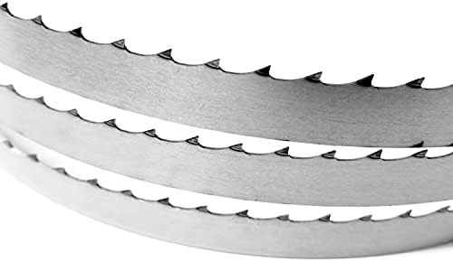 Şerit Testere Bıçağı Kemiği-98 3tpı X 5/8 X .022