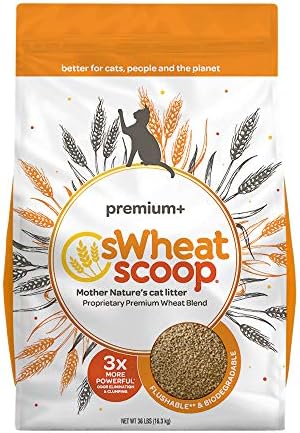 Swheat Scoop Kokusuz Premium + Tüm Doğanın Kedi Kumu, 36 lbs.