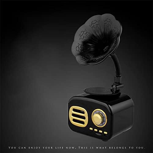 GANFANREN Retro Fonograf Bluetooth Hoparlör Klasik Vintage Gramofon taşınabilir hoparlör Taşınabilir Ses ve Video (Renk: Siyah)