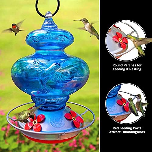 Minnettar Gnome-Hummingbird Besleyici-El Üflemeli Cam-Mavi Hummingbird - 26 Sıvı Ons Ücretsiz Bonus Aksesuarları S Kanca, Karınca