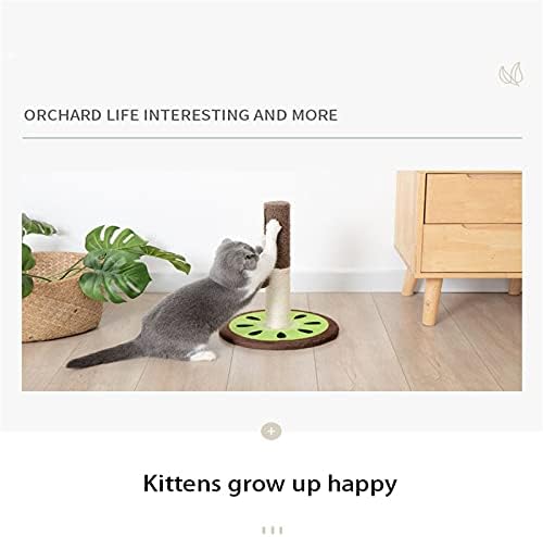 Meyve Serisi Kedi Tırmanma Kedi Aktivite Scratcher Asılı Top Oyuncak Oyun Topları, Kedi Pençe Ağacı Kulesi Yavru Kedi, Kediler