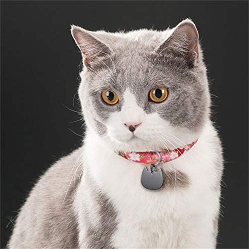 Kişiselleştirilmiş TARAFINDAN Kazınmış Paslanmaz Çelik Pet Etiketi Köpek Kedi KIMLIK Etiketi Kedi Kafa Kolye Ücretsiz Gravür