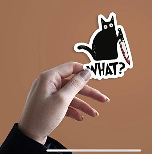 Kara Kedi Ne? Etiket Arabalar, Kamyonlar, Bıçak Cadılar Bayramı Kostümleri ile Komik Katil Kedi