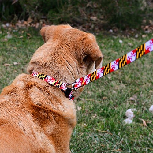 Yerli Yavru Maryland Bayrak Köpek Tasma