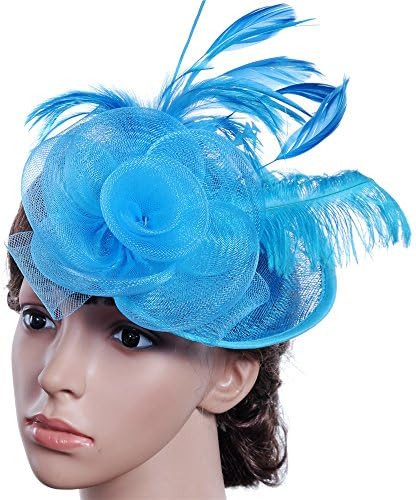ZSMPY kadın Zarif Fascinator Şapka Gelin Tüy Saç Klip Aksesuarları Kokteyl Kraliyet Ascot ZS (Renk: Gökyüzü Mavi)
