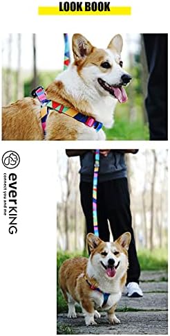 EVERKİNG POP Serisi Özgürlük Çekme Yok Köpek Koşum Takımı / Ayarlanabilir Kolay Köpek Yürüyüşü için Nazik Rahat Kontrol / Küçük